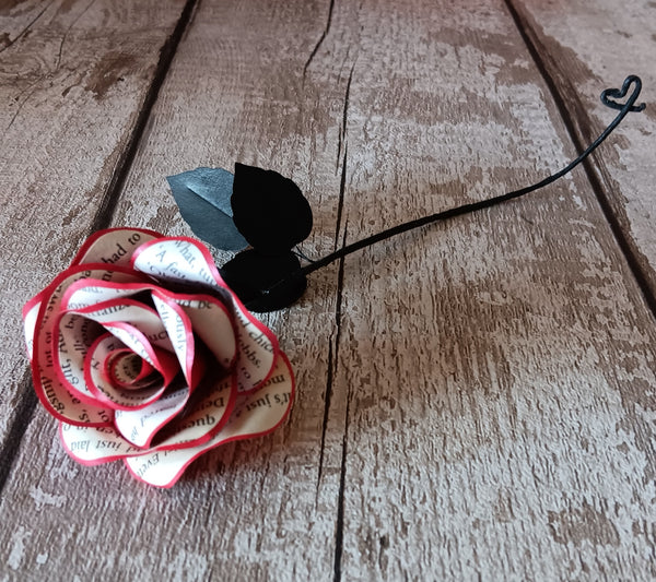 Single Discworld book rose